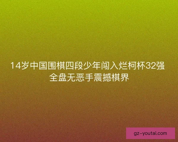 14岁中国围棋四段少年闯入烂柯杯32强 全盘无恶手震撼棋界